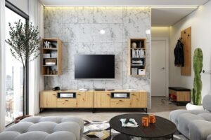 System OLIER 10