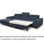 Funkcja w tkaninie zastępczej