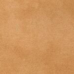 Gusto 06 Camel